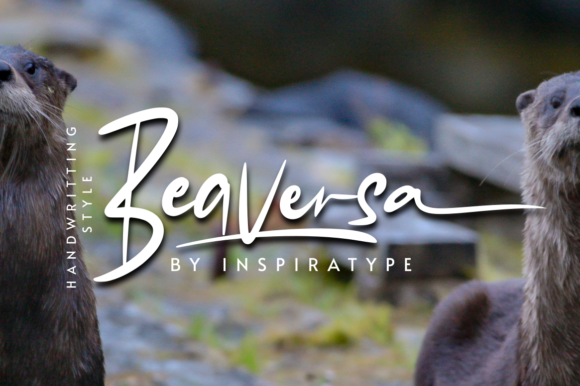 Beaversa: A Friendly Handwritten Font for Web Design