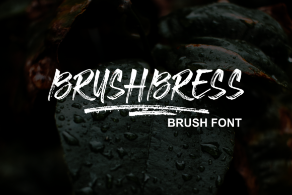 Brushbress: A Textured Handwritten Font Review