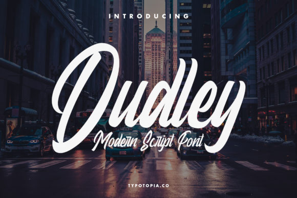 Dudley: A Designer's Review of This Premium Script Amp