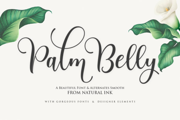 Palm Belly: A Modern Script Font for Crafters