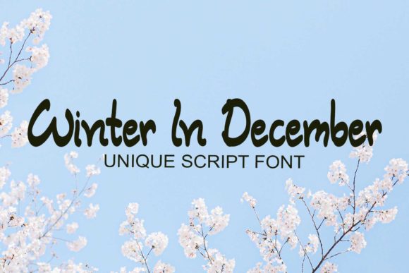 Winter in December: A Playful Script Font Review
